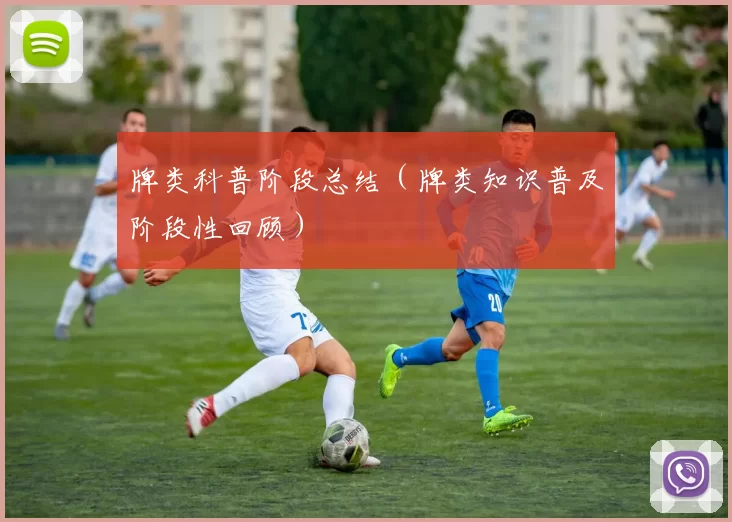 牌类科普阶段总结（牌类知识普及阶段性回顾）