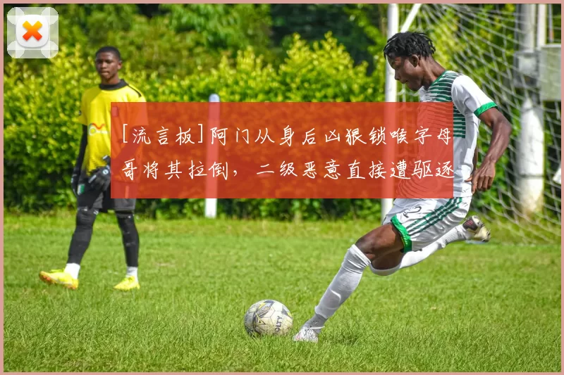 [流言板]阿门从身后凶狠锁喉字母哥将其拉倒，二级恶意直接遭驱逐[2...143]