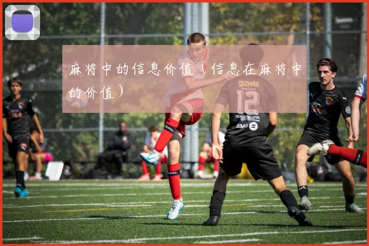 麻将中的信息价值（信息在麻将中的价值）