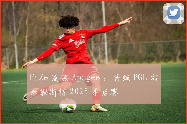 FaZe 淘汰 Apogee ，晋级 PGL 布加勒斯特 2025 季后赛
