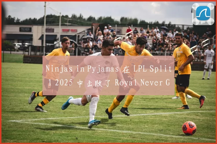 Ninjas in Pyjamas 在 LPL Split 1 2025 中击败了 Royal Never Give Up