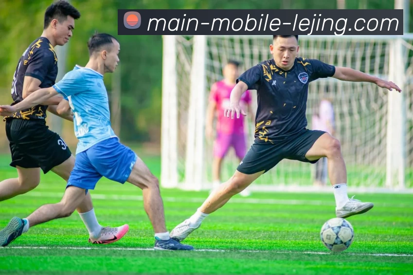 乐竟体育服务体系